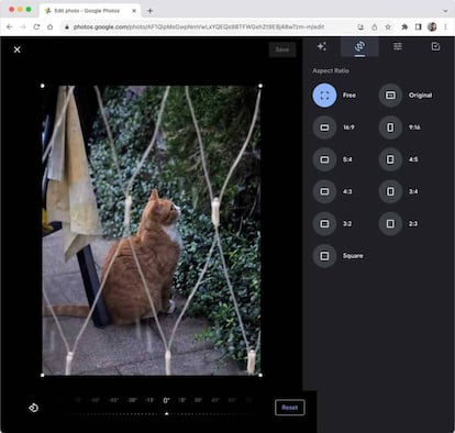 Edición web Google Fotos