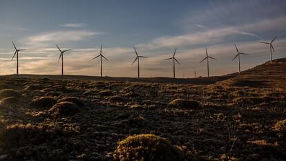 Molinos de energía eólica