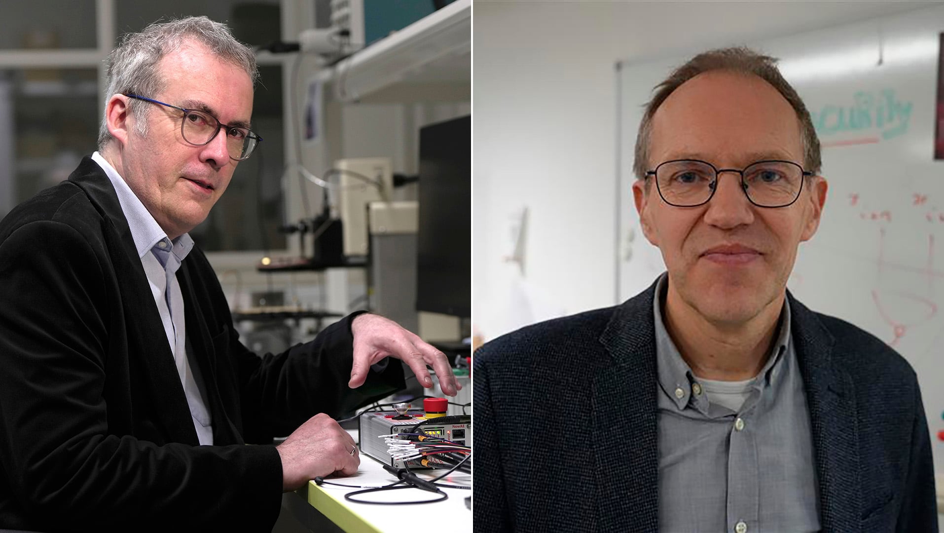 El premio Fronteras reconoce a los artífices del sistema que protege la seguridad y la privacidad en internet