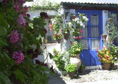 Córdoba, vestida de flores, celebra estos días un concurso de patios.