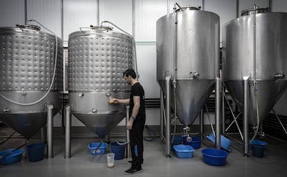 Un operario toma muestras de cerveza en la fábrica de Fernández Pons (Godella, Valencia).