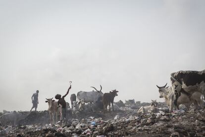 Un niño juega con un tirachinas en el vertedero de Agbogbloshie sobre toneladas de deshechos. Este lugar, situado en Accra, la capital de Ghana, es el mayor basurero de residuos tecnológicos del mundo.