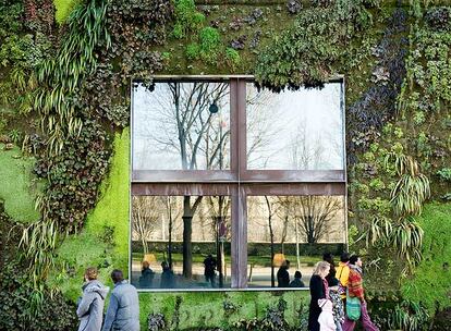 Fragmento del jardín vertical en el Museo Quai Branly, de París, diseñado por Patrick Blanc