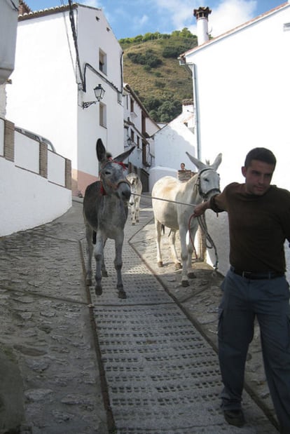 Una calle de Benalauría, en el malagueño valle del Genal.