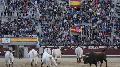 El cuarto toro fue devuelto a los corrales entre las protestas del público.