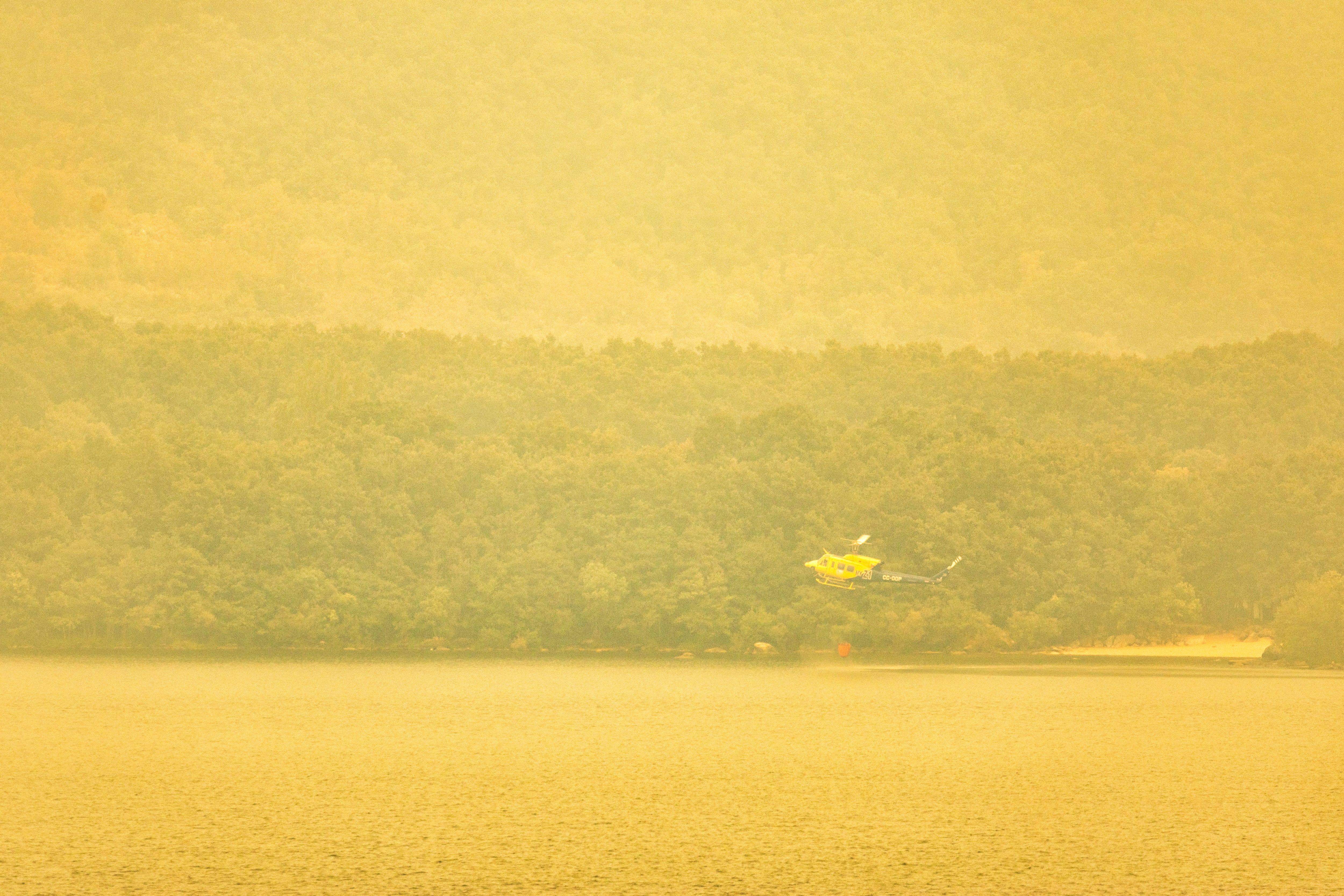 Cuando un incendio se adentra en la reserva natural del Lago de Sanabria: “Somos la España vaciada y la quemada”