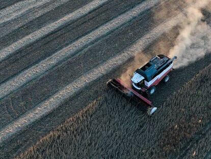 Cosecha de soja en un campo del gigante agrícola Rusagro. 