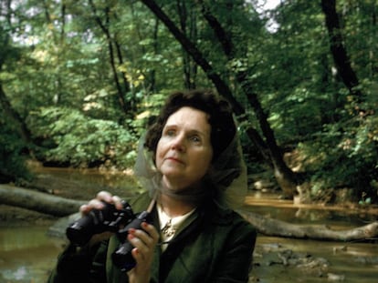 Rachel Carson en un bosque en 1962.