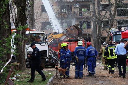 Unidades de rescate con un perro para detectar víctimas junto a los escombros de un edificio bombardeado por Rusia en Kiev, este jueves.