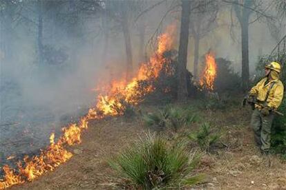 Un miembro de los servicios de extinción se enfrenta a las llamas en la urbanización Roche de Conil (Cádiz).