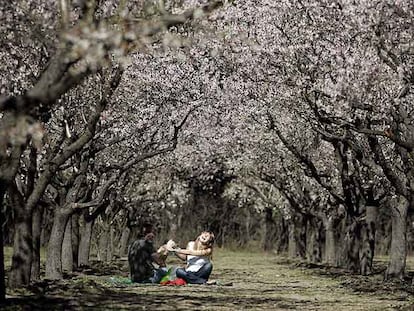 Llega la primavera en Madrid