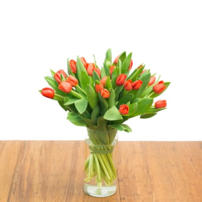 fototexto flores san valentin 6