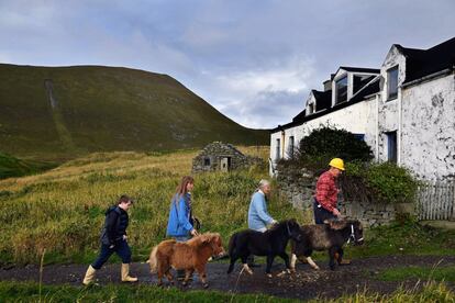 Jack, Penny, Sheila y Jim Grear pasean a sus ponis a la isla de Foula, donde serán transportados hacia el mercado de la isla de Shetland.