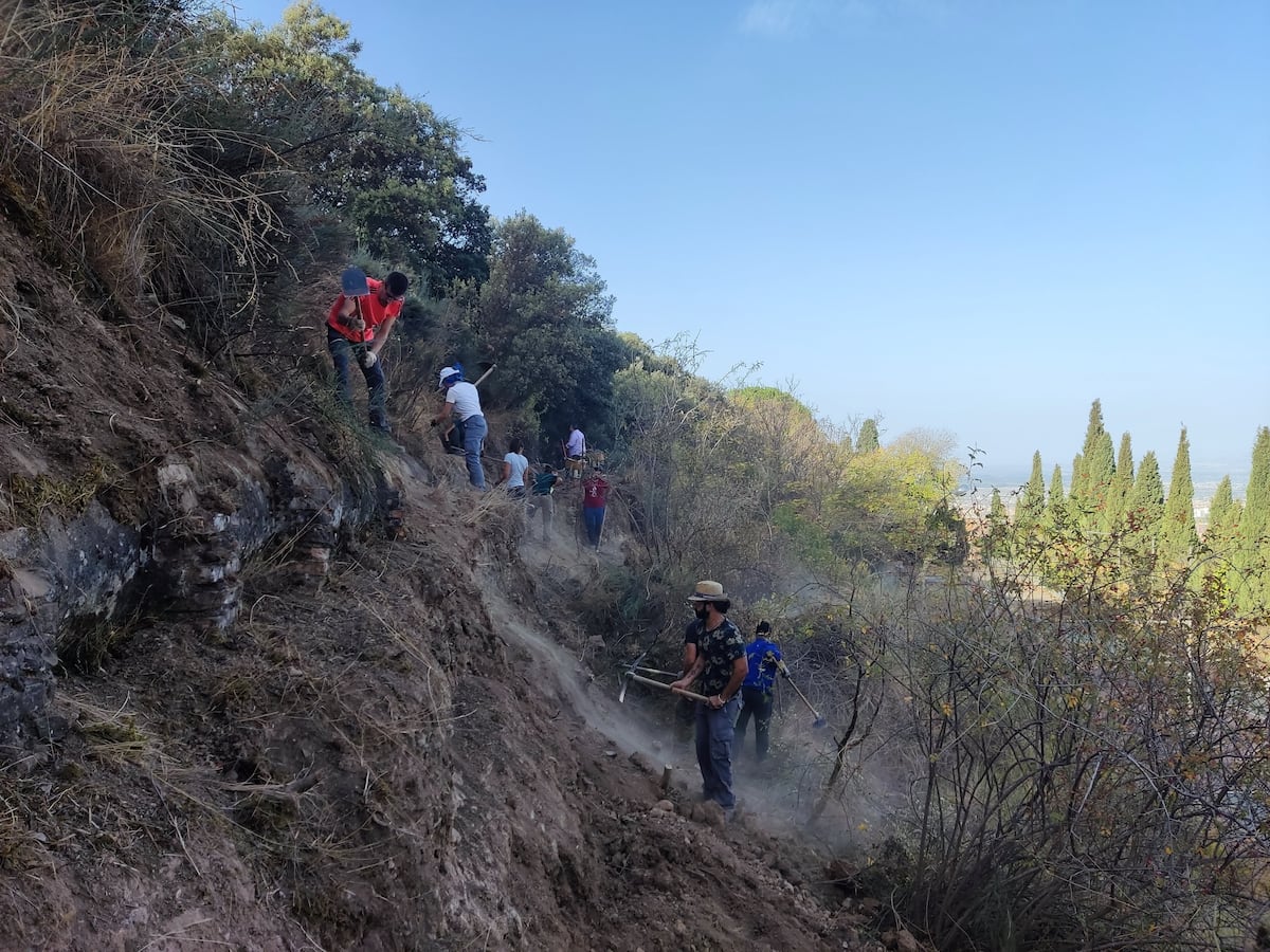 The Ministry of Culture paralyzes the process of recognition of historical irrigation as Intangible Heritage | News from Andalusia The Ministry of Culture paralyzes the process of recognition of historical irrigation as Intangible Heritage | News from Andalusia