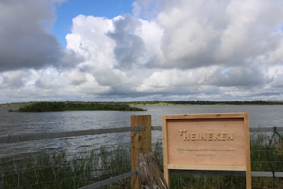 Un rótulo junto a la laguna de la Dehesa de abajo conmemora en Doñana, Reserva de la Biosfera, la contribución Heineken en la conservación del ecosistema, vital para muchas especies de aves migratorias.