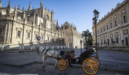 Una calesa junto a la catedral de Sevilla, sin turistas a la vista.