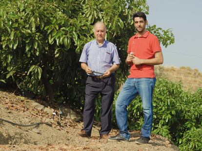 El invento andaluz para evitar la desertificación