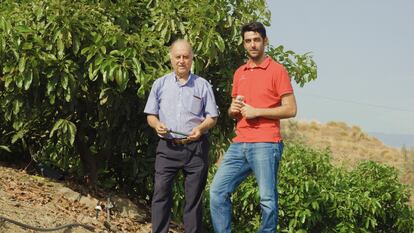 El invento andaluz para evitar la desertificación