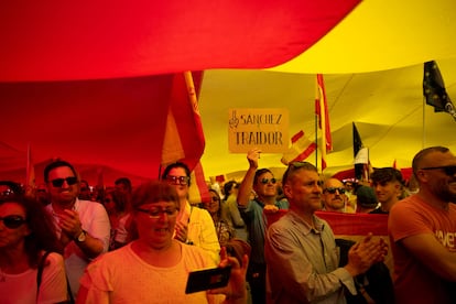 Manifestantes protestaban bajo una bandera gigante de España en la concentración de Málaga, este domingo.
