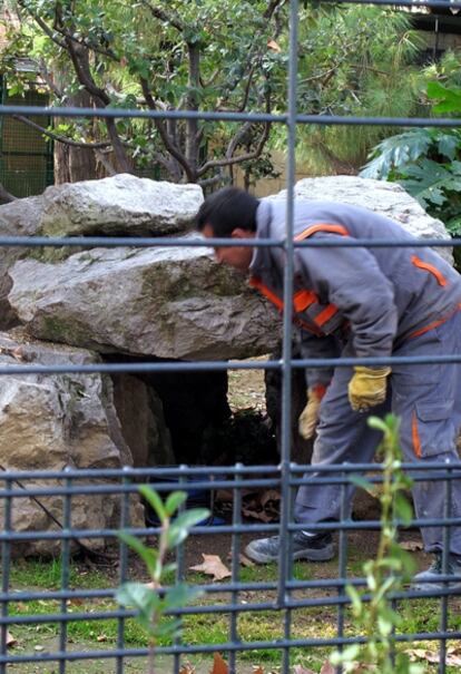 Un operario del zoo de Barcelona arreglando el nuevo habitáculo para lobos del centro.