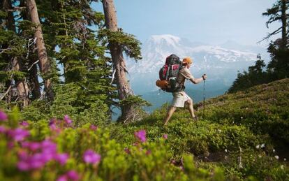 Senderismo en el parque nacional de Mont Rainier.