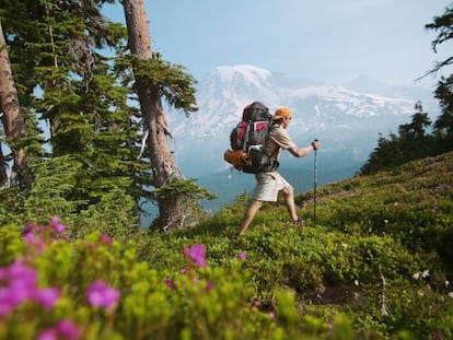 Senderismo en el parque nacional de Mont Rainier.