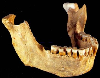 Mand&iacute;bula neandertal de Zafarraya.