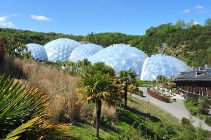 El Proyecto Edén, en Cornualles (Reino Unido), alberga más de 100.000 plantas a modo de reserva natural ante una posible extinción.