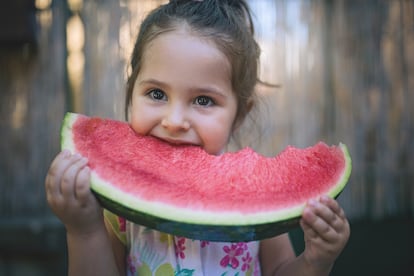 La recomendación para que un niño siga la alimentación vegana es que se haga siempre con un profesional y supervisión constante. 