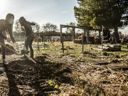 Un grupo de alumnas 
en la clase de agricultura 
de la escuela en Arlés.