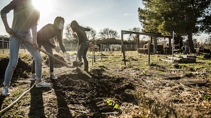 Un grupo de alumnas 
en la clase de agricultura 
de la escuela en Arlés.