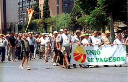 Imagen de la concentración celebrada ayer en Tarragona.