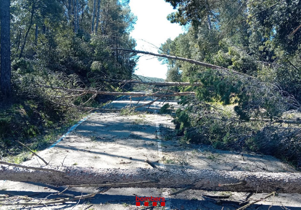 Tres heridos leves y cortes de luz y de carretera por el temporal de viento en Cataluña