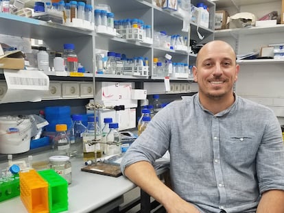 El científico Gonzalo Moratorio en el laboratorio de Evolución Experimental de Virus del Institut Pasteur de Montevideo / Daniela Hirschfeld