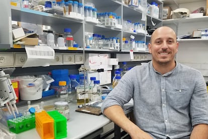 O cientista Gonzalo Moratorio no laboratorio de Evolução Experimental de Vírus do Instituto Pasteur de Montevidéu / Daniela Hirschfeld