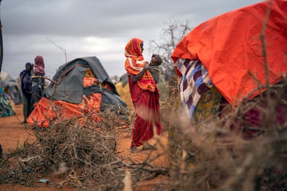 Somali woman