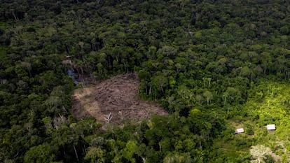 Deforestación en Colombia
