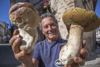 Un vecino de Ezcaray con setas de tipo Boletus edulis.