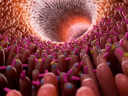 Autismo y microbiota