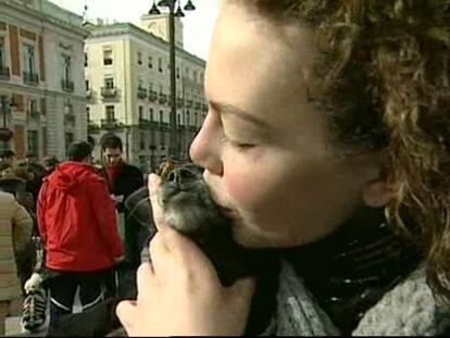 Un San Valentín 'de perros'