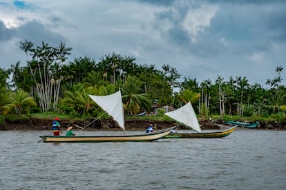 Pescadores navegan por el río Guapi en embarcaciones impulsadas por velas, en el departamento del Cauca, Colombia.