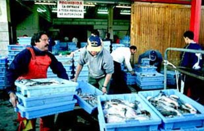 Trabajadores de la lonja de pescado de Gandia, ayer, con cajas llenas de doradas.