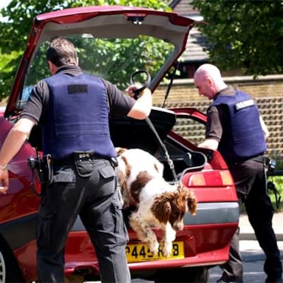 Dos policías británicos usan un perro para buscar explosivos en un coche en Londres.