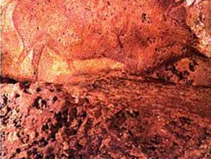 Una de las sensacionales pinturas polícromas de bisontes de la gruta de Font de Gaume.