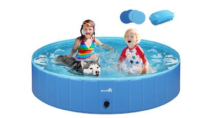 Piscina para perros