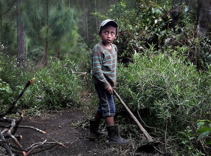 Óscar Tut, de 10 años, trabaja en el huerto de su casa en San Juan Chamelco, Alta Verapaz, Guatemala, a finales de febrero.