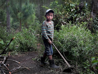 Óscar Tut, de 10 años, trabaja en el huerto de su casa en San Juan Chamelco, Alta Verapaz, Guatemala, a finales de febrero.