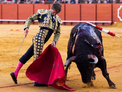 Lama de Góngora, el 11 de abril de 2018, en la plaza de La Maestranza.