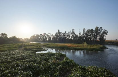 The Guadiana River that flows through Guareña close to the Turuñuelo dig. 