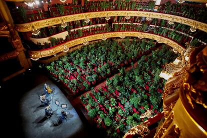 El Liceo de Barcelona y el artista Eugenio Ampudia presentaron este lunes un espectáculo insólito en la reapertura del teatro. En él, un cuarteto de cuerda interpretó a Puccini ante 2.292 plantas que serán entregadas a sanitarios. La actuación homenajeó así a la naturaleza y a estos profesionales, protagonistas durante la pandemia.